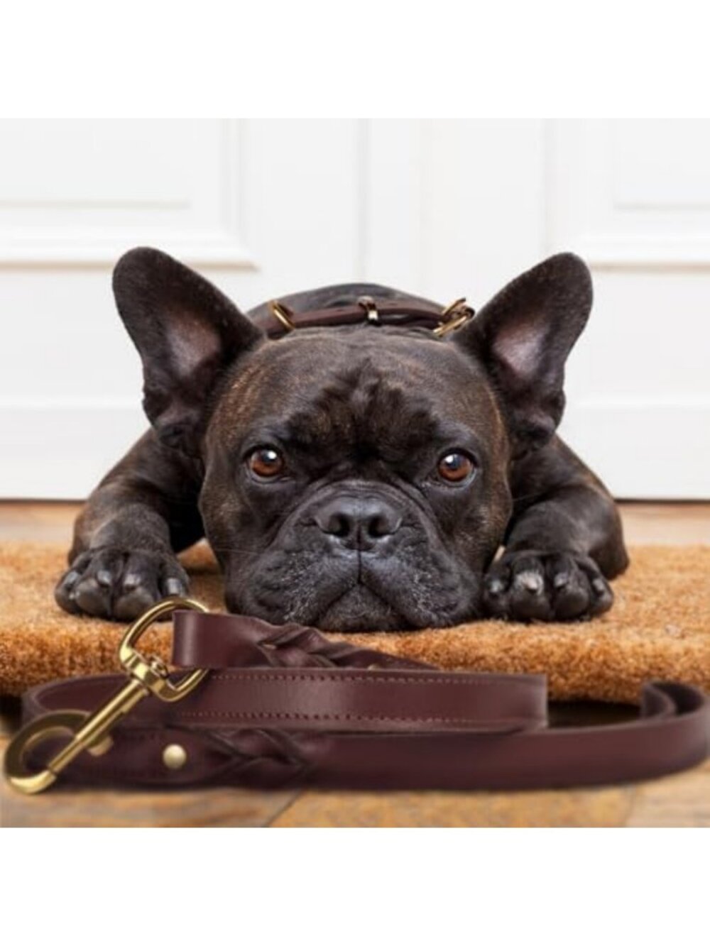 Durable Leather Dog Collar & Leash Set - 5ft Adjustable, Soft, Metal Buckle for - Picture 7 of 7